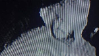Crooks steal car with Christmas presents for nine children inside