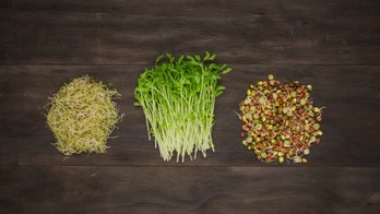 Spoil sprouts: How little greens can make you sick