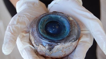 Mystery of giant eyeball on beach solved