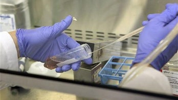 Stem Cell Therapy Poised to Come in From the Cold