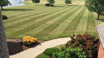 8 Landscaping Tricks That Can Save You Money