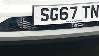 Cat survives being stuck in car grille for 9 days