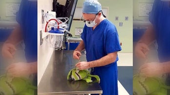 Wisconsin surgeon performs 'surgery' on pediatric patient's stuffed animal