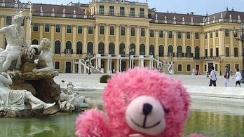 Tour company can send your favorite stuffed animal on vacation