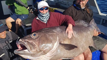 68-year-old woman catches 130-pound ‘monster’ fish on casual trip