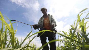 US, Mexico avert trade war over sugar – for now