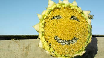 12 Surprising Sources of Caffeine