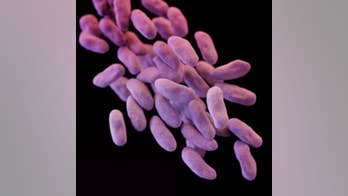 US health officials push for stricter 'superbug' defense
