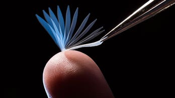 University of Rochester scientists create 'super polymer' that can lift 1,000 times its mass