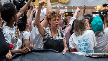 Susan Sarandon says she was arrested while protesting Trump's immigration policy