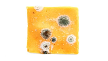 How to tell if food is too moldy to eat