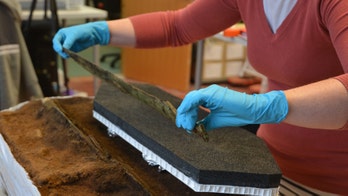Bronze sword, gold-decorated spearhead unearthed at Scottish construction site