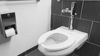 Trendy Berlin hotel's floor-to-ceiling windows reveals patrons on toilet