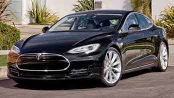 'Lemon Law King' sues Tesla