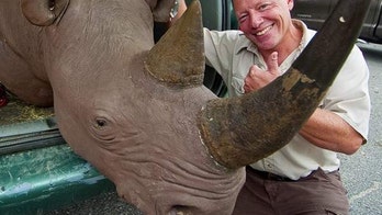 Charges dropped for New Hampshire man who sold rhino head