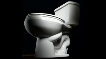 How to Install a Toilet