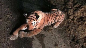 Toy tiger sparks standoff with Scottish police