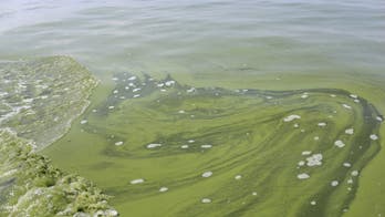 EPA suggests triggers for warning of algae in drinking water