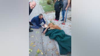 Dog 'hugs' his injured owner as he waits for ambulance laying on the asphalt