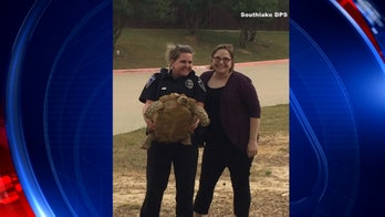 Escaped tortoise found one mile from Texas middle school