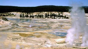 Viral video shows man trying to bathe feet in Yellowstone's thermal hot springs: report