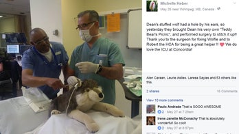 Surgeons patch up patient's beloved stuffed animal