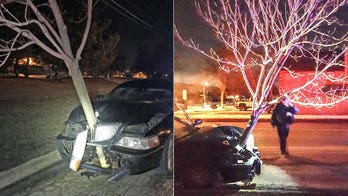 Cops catch drunk driver thanks to 15-foot tree on front of car