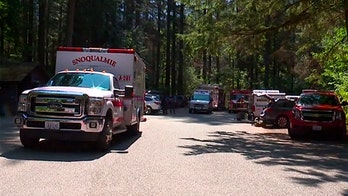 Tree falls in Washington's Twin Falls State Park, injuring 3