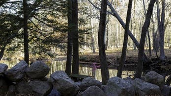 This Cool Treehouse Is the Ideal Escape From City Life