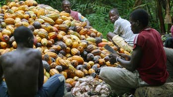 Watch cocoa bean growers taste chocolate for the first time
