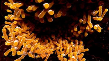 Are you contributing to the rise of superbugs?