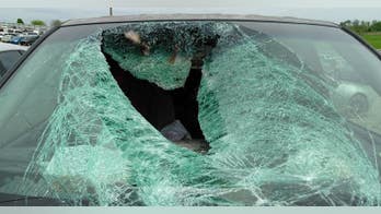 Wild turkey smashes vehicle's windshield; two women hospitalized, man hurt