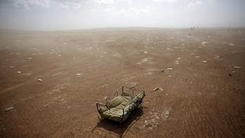 'A Terrible Slaughter Is Coming'