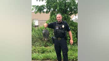 Ohio flooding caused by turtle stuck in drain; cops rescue 'happy' reptile