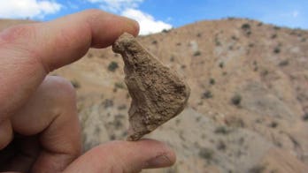 Andes once hosted snakes, turtles millions of years ago
