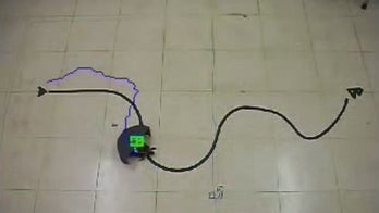 Live turtle bot maneuvered with remote control