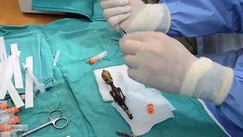 UFO film promises proof of pint-size aliens