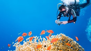 4 tips for better underwater photos and video
