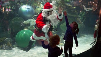 Scuba Santas making a splash this holiday season