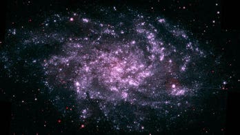 Reality check: Is our universe real?