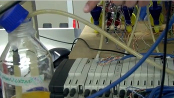 Gotta pee? Researchers developing urine-powered cell phone