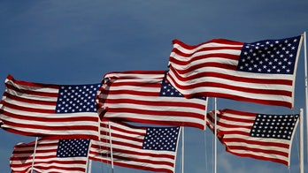 ӣ����Ƶ Poll: Is voting an act of patriotism? What about owning a gun?