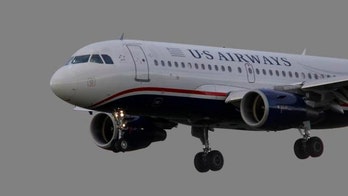 Dog poops on flight and forces emergency landing