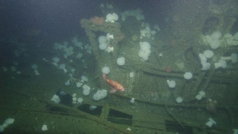Stunning pictures reveal the wreck of US World War II-era sub