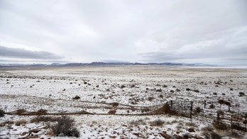 Rattle cattle with a drone in this US state and you could end up in the slammer