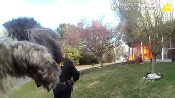 Dog rescued from Virginia house fire in dramatic video