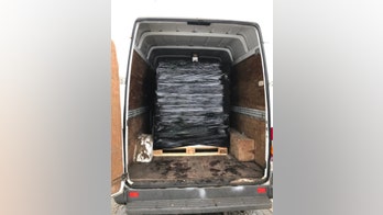 Police find 5,000 cans of beer in overweight van