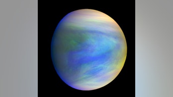 Life on Venus? Why it's not an absurd thought