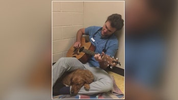 Veterinarian sings to nervous pup before her surgery