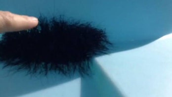 Fluff ball? Clump of spiders? Viral video shows something else